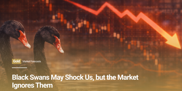 Black Swans May Shock Us, but the Market Ignores Them