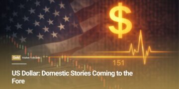 US Dollar: Domestic Stories Coming to the Fore