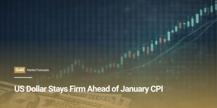 US Dollar Stays Firm Ahead of January CPI